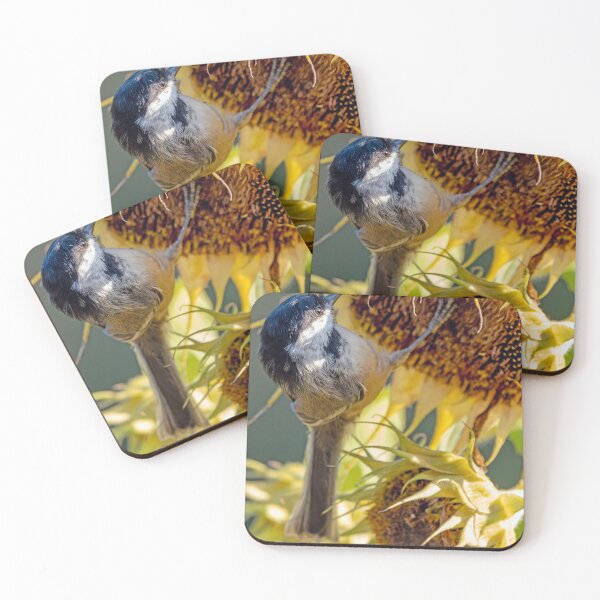Item preview, Black-Capped Chickadee feeding on sunflower designed and sold by lisavonbiela.