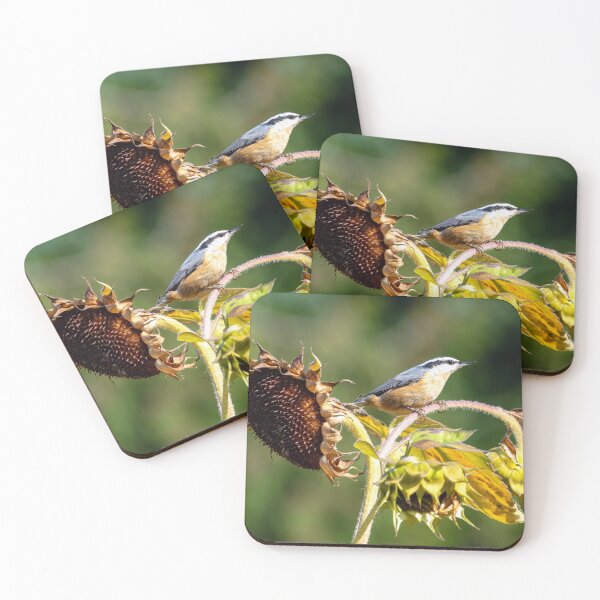 Item preview, Red-Breasted Nuthatch looking into the late afternoon sun designed and sold by lisavonbiela.