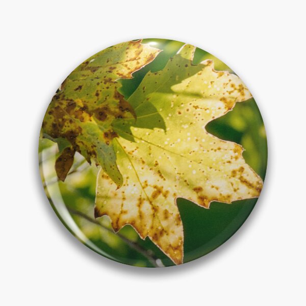 Item preview, Tree Star designed and sold by JWheelPhotos.
