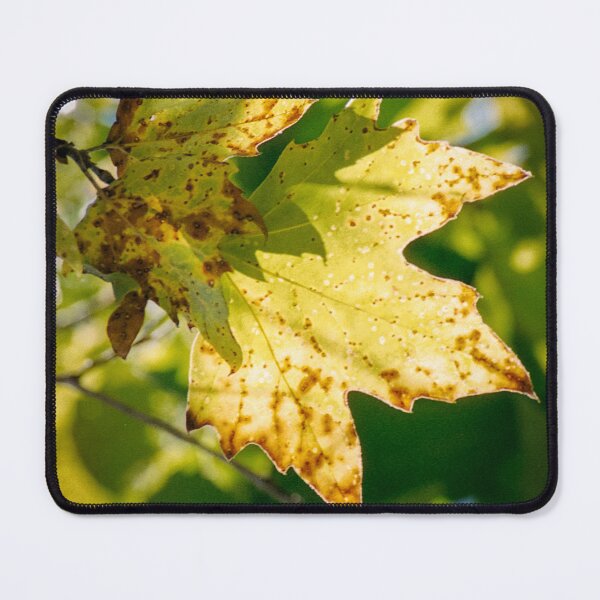 Item preview, Tree Star designed and sold by JWheelPhotos.