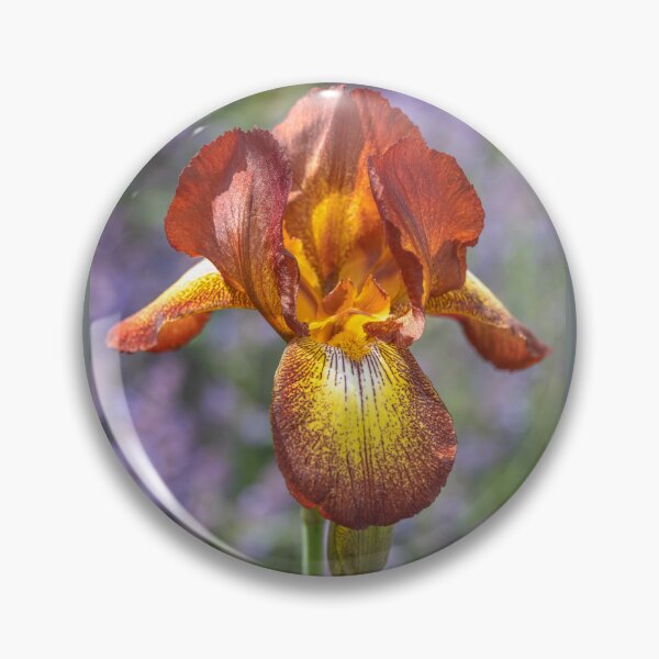 Item preview, UK. Scotland. Glasgow. Iris. designed and sold by vadim19.