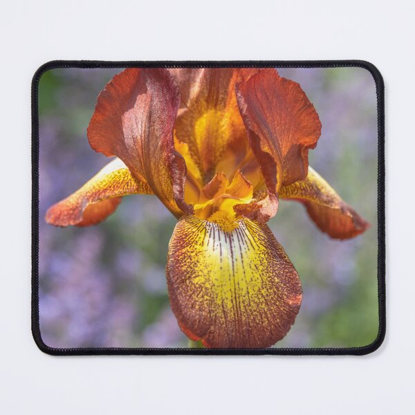 Item preview, UK. Scotland. Glasgow. Iris. designed and sold by vadim19.