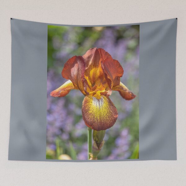 Item preview, UK. Scotland. Glasgow. Iris. designed and sold by vadim19.