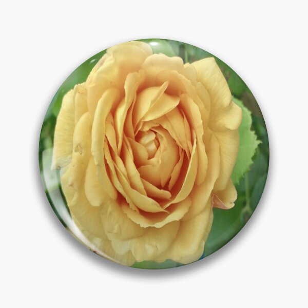 Item preview, Golden Beauty designed and sold by Rambling Rose Studios GB (RRSGB).
