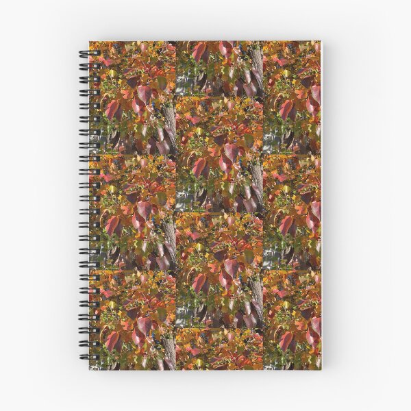 Item preview, Fall colors in style designed and sold by Batzz.