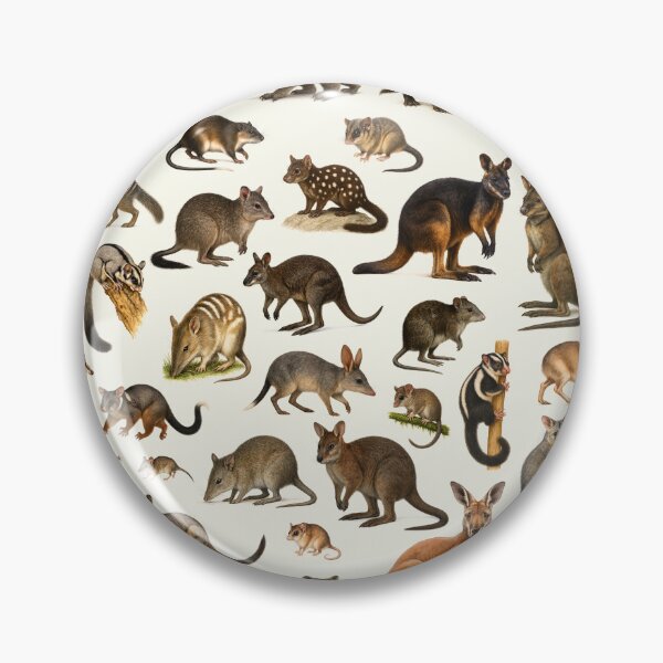 Item preview, Marsupial Animal Lover Retro Style Illustration Chart designed and sold by kakarikihill.