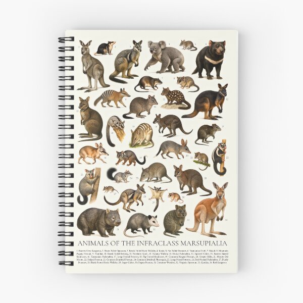 Item preview, Marsupial Animal Lover Retro Style Illustration Chart designed and sold by kakarikihill.