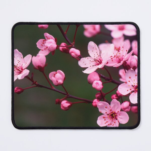 Item preview, Plum Tree Blossoms in Full Bloom designed and sold by jklune.