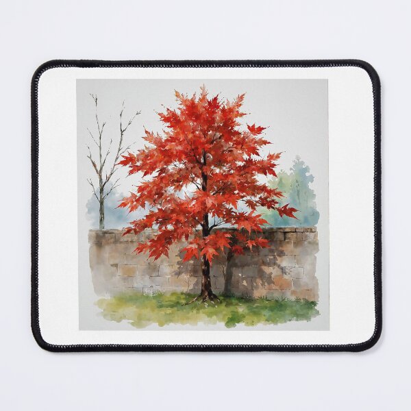 Item preview, Red Japanese Maple Study C designed and sold by Oldetimemercan.