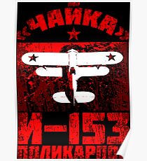 Russisches Doppeldecker-Jagdflugzeug: I-153 M-62 Polikarpov Poster