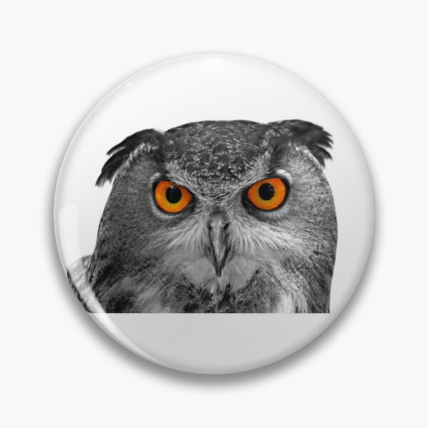 Item preview, Eurasian Eagle-Owl Portrait on White Background designed and sold by Peter Milota Studio.