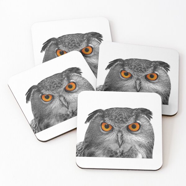 Item preview, Eurasian Eagle-Owl Portrait on White Background designed and sold by Peter Milota Studio.