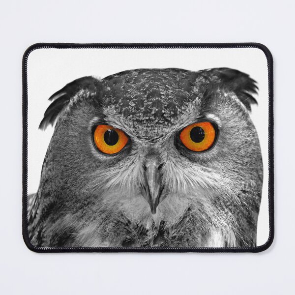 Item preview, Eurasian Eagle-Owl Portrait on White Background designed and sold by Peter Milota Studio.