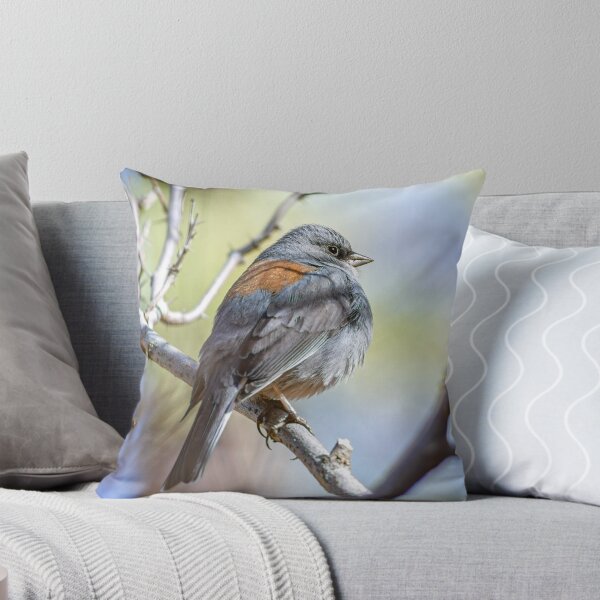 Item preview, Dark-eyed Junco on a Tree Branch designed and sold by Peter Milota Studio.