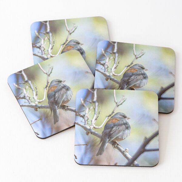 Item preview, Dark-eyed Junco on a Tree Branch designed and sold by Peter Milota Studio.