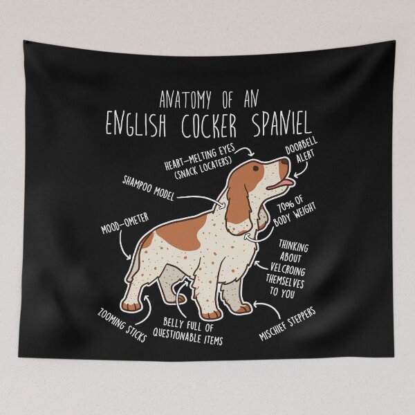 Item preview, Orange Roan English Cocker Spaniel Dog Anatomy designed and sold by Clara Hollins.