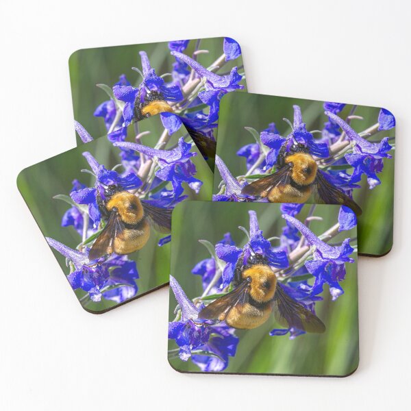 Item preview, Bumble Bee on Blue Flowers designed and sold by Peter Milota Studio.