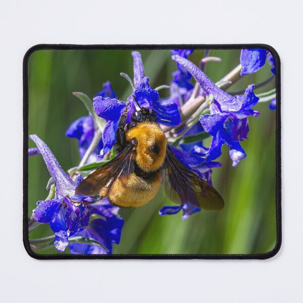 Item preview, Bumble Bee on Blue Flowers designed and sold by Peter Milota Studio.