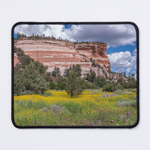 Item preview, Sandstone Cliffs of Ramah, New Mexico designed and sold by Peter Milota Studio.