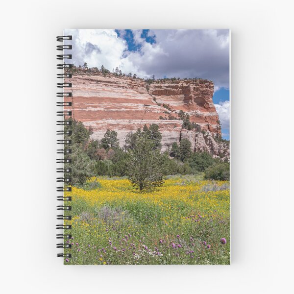 Item preview, Sandstone Cliffs of Ramah, New Mexico designed and sold by Peter Milota Studio.