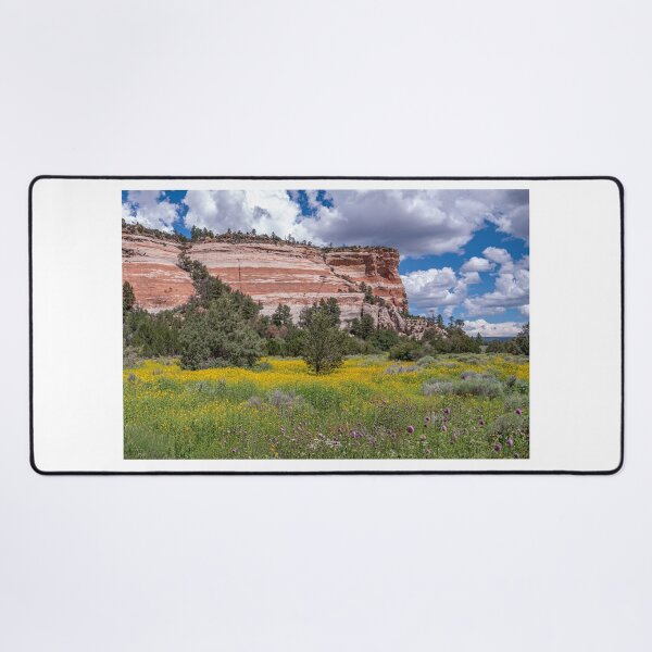 Item preview, Sandstone Cliffs of Ramah, New Mexico designed and sold by Peter Milota Studio.