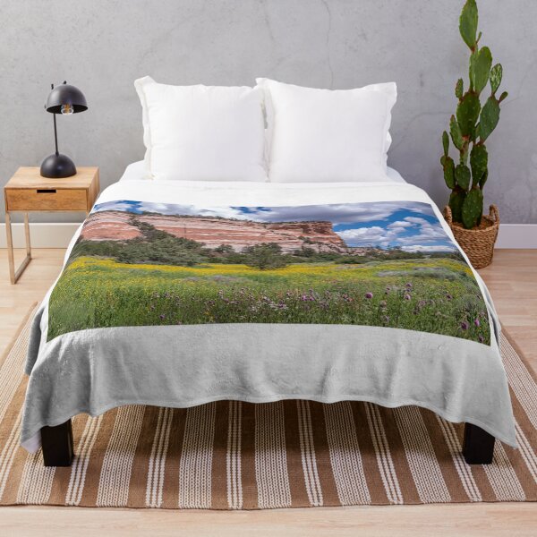 Item preview, Sandstone Cliffs of Ramah, New Mexico designed and sold by Peter Milota Studio.