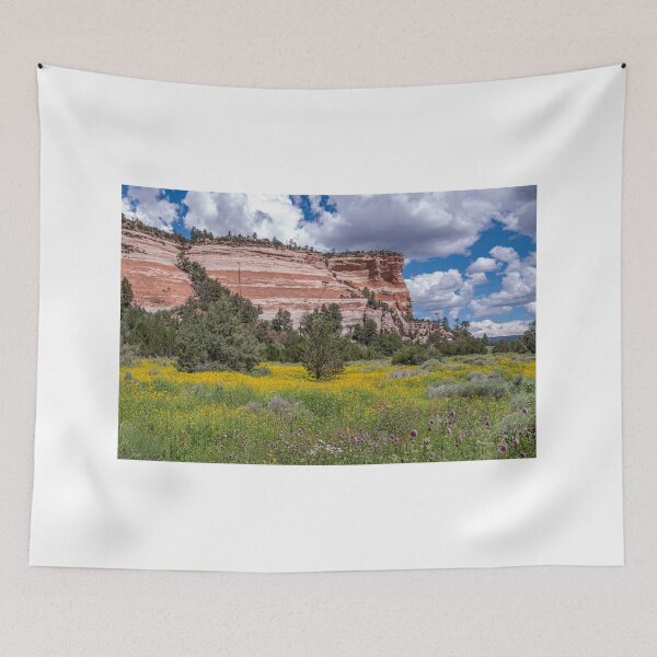 Item preview, Sandstone Cliffs of Ramah, New Mexico designed and sold by Peter Milota Studio.
