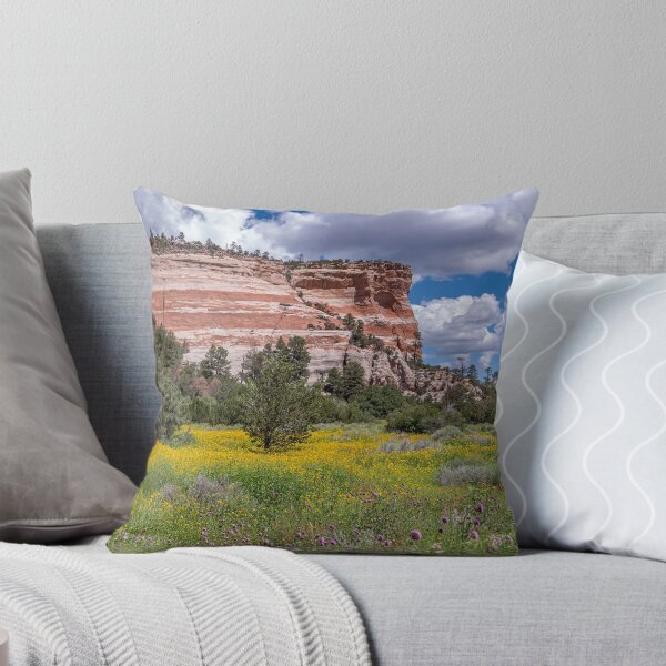 Item preview, Sandstone Cliffs of Ramah, New Mexico designed and sold by Peter Milota Studio.