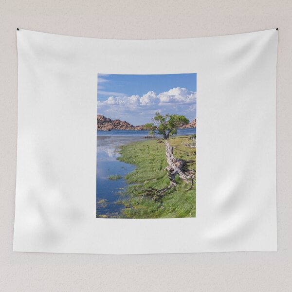Item preview, Watson Lake Shoreline in Prescott, Arizona designed and sold by Peter Milota Studio.