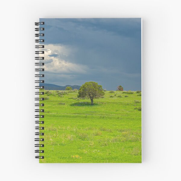 Item preview, Pinyon Pine Tree in a Green Pasture designed and sold by Peter Milota Studio.