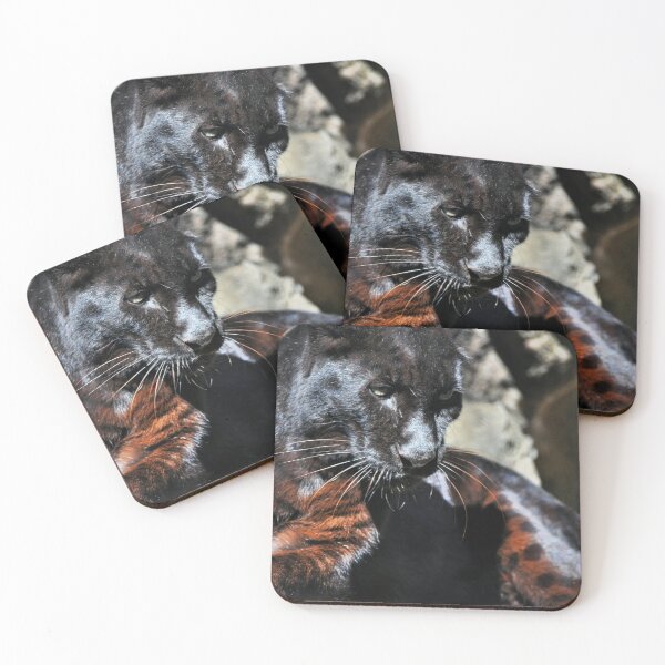 Item preview, Black Leopard designed and sold by Savannah Gibbs.