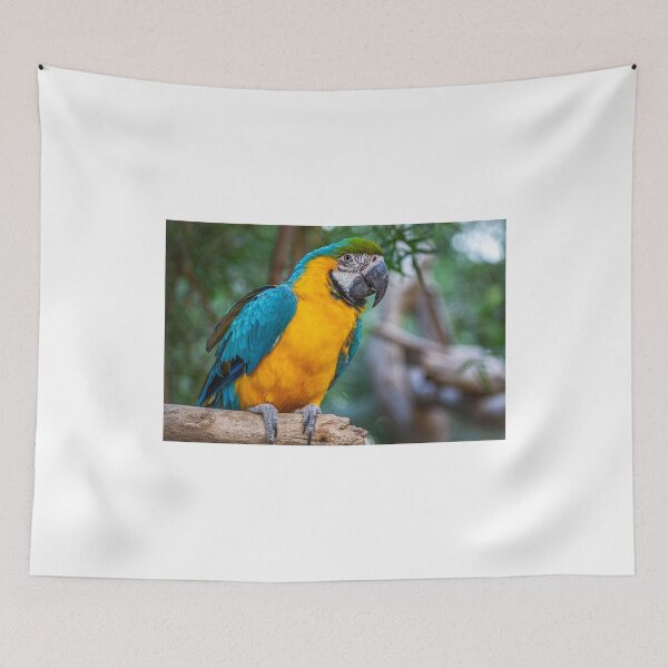 Item preview, Blue-and-Yellow Macaw with Rainforest Background designed and sold by Peter Milota Studio.