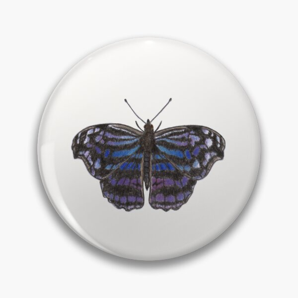 Item preview, Hand Drawn Mexican Bluewing Butterfly Illustration  designed and sold by SarandipityStudioCo.