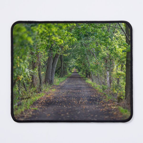 Item preview, Hiking Trail into the Distance designed and sold by Peter Milota Studio.