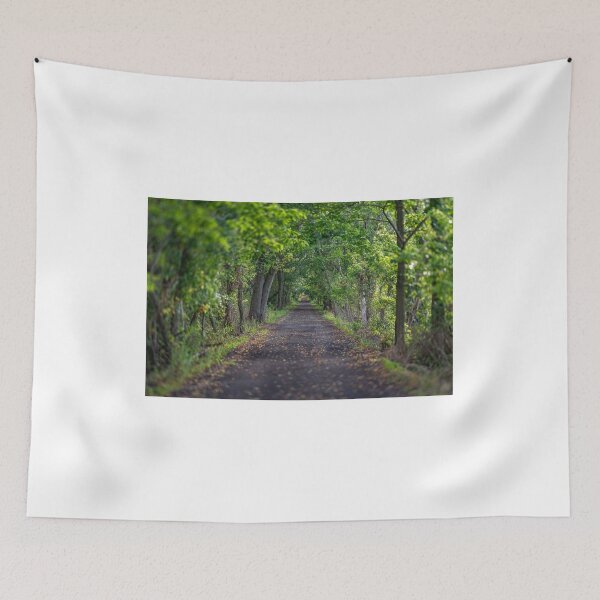 Item preview, Hiking Trail into the Distance designed and sold by Peter Milota Studio.
