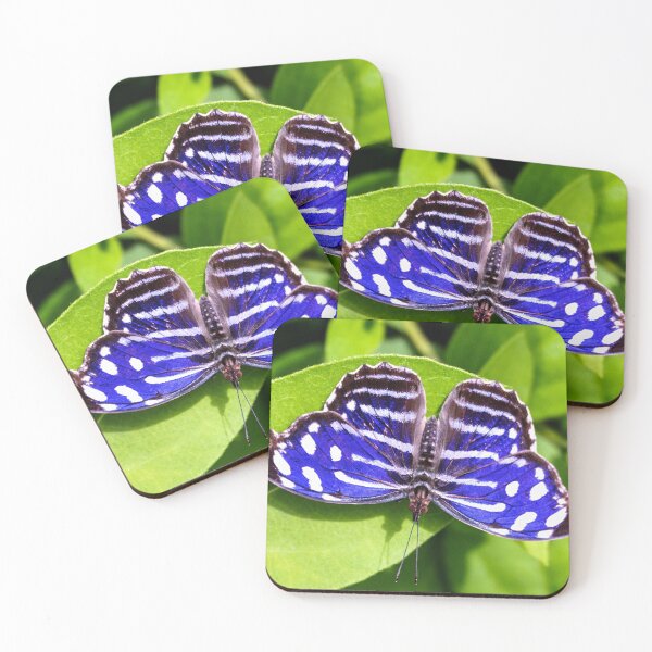 Item preview, Blue Wave Butterfly Resting on Green Leaves designed and sold by Peter Milota Studio.