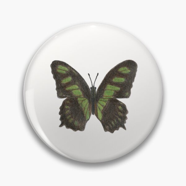Item preview, Hand Drawn Malachite Butterfly Illustration  designed and sold by SarandipityStudioCo.