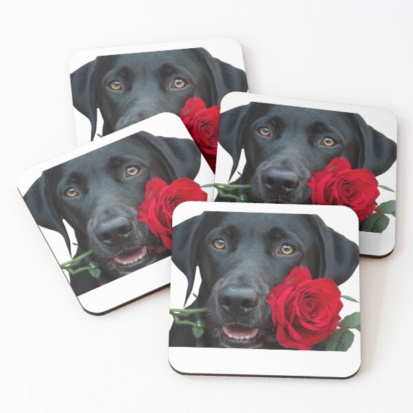 Item preview, Hermoso labrador negro designed and sold by Vivid Creations by CJ.