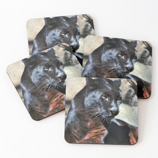 Item preview, Black Leopard designed and sold by Savannah Gibbs.