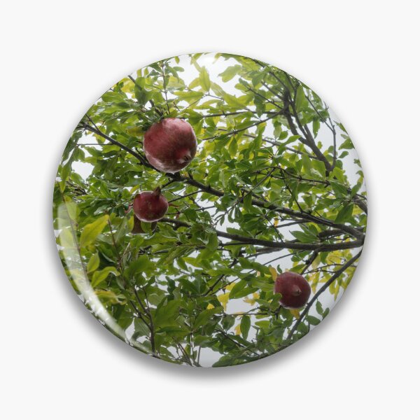 Item preview, Fruit Tree Sweet Harvest - Ripe Pomegranates Hanging on Branches designed and sold by Georgia Mizuleva.