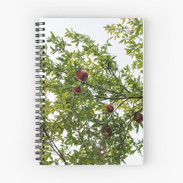 Item preview, Fruit Tree Sweet Harvest - Ripe Pomegranates Hanging on Branches designed and sold by Georgia Mizuleva.