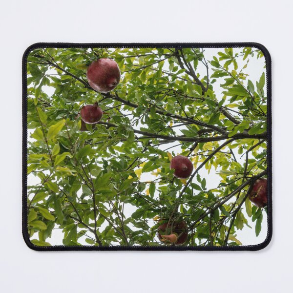 Item preview, Fruit Tree Sweet Harvest - Ripe Pomegranates Hanging on Branches designed and sold by Georgia Mizuleva.