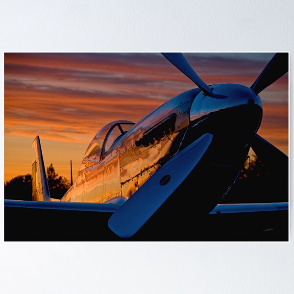 Item preview, Sunset Mustang designed and sold by gfydad.