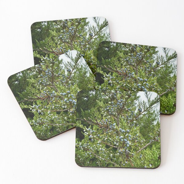 Item preview, Juniper Berries in Winter Light designed and sold by Dynahgrl.