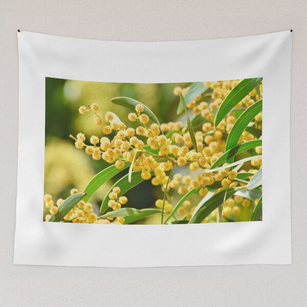 Item preview, Australian Golden Wattle designed and sold by cbrpix.