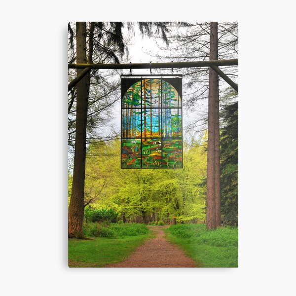 The Forest of Dean Metal Print