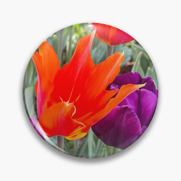 Item preview, Vibrant Orange Tulip Standing Out Among Purple Flowers in a Spring Garden designed and sold by Be Captured by Brittany Emma.