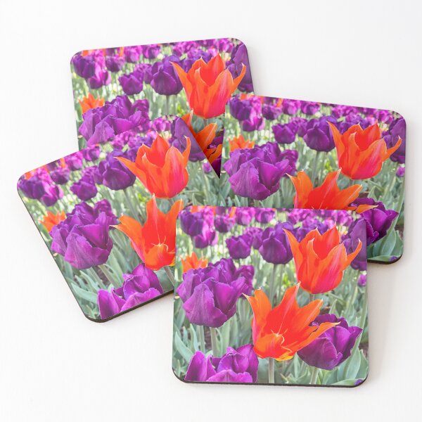 Item preview, Vibrant Orange Tulip Standing Out Among Purple Flowers in a Spring Garden designed and sold by Be Captured by Brittany Emma.