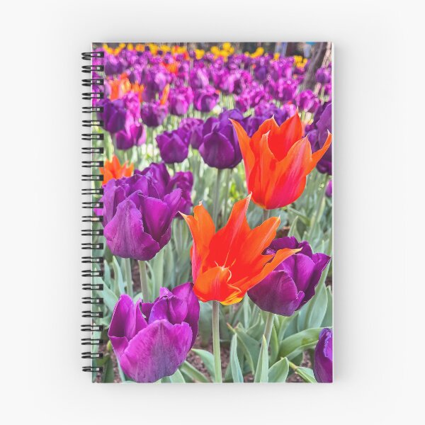 Item preview, Vibrant Orange Tulip Standing Out Among Purple Flowers in a Spring Garden designed and sold by Be Captured by Brittany Emma.