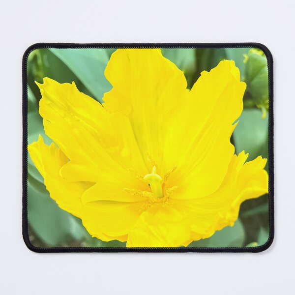 Item preview, Sunny Yellow Tulip Blooming in a Green Garden on a Warm Spring Day designed and sold by Be Captured by Brittany Emma.